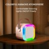 K-12 Portable Wireless Karaoke Mic with Built-in Speaker