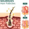 Scalp Folliculitis Therapy Oil3 Scalp Folliculitis Therapy Oil3