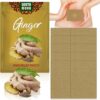 10Pcs Lymphatic Healing Ginger Patchm