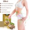 10Pcs Lymphatic Healing Ginger Patchm4