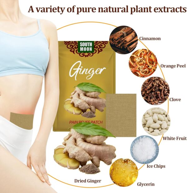 10Pcs Lymphatic Healing Ginger Patchm5