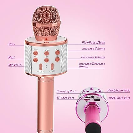 Wster WS-858 Portable Bluetooth Speaker Karaoke Microphone Wster WS-858 পোর্টেবল ব্লুটুথ কারাওকে মাইক্রোফোন