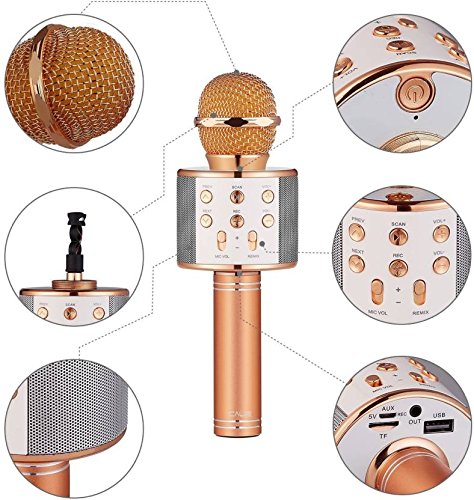 Wster WS-858 Portable Bluetooth Speaker Karaoke Microphone Wster WS-858 পোর্টেবল ব্লুটুথ কারাওকে মাইক্রোফোন