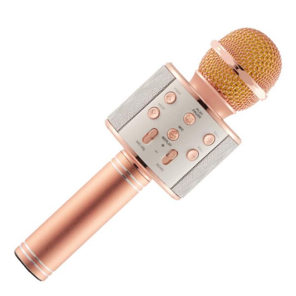 Wster WS-858 Portable Bluetooth Speaker Karaoke Microphone Wster WS-858 পোর্টেবল ব্লুটুথ কারাওকে মাইক্রোফোন