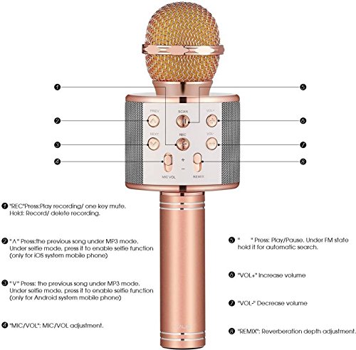 Wster WS-858 Portable Bluetooth Speaker Karaoke Microphone Wster WS-858 পোর্টেবল ব্লুটুথ কারাওকে মাইক্রোফোন