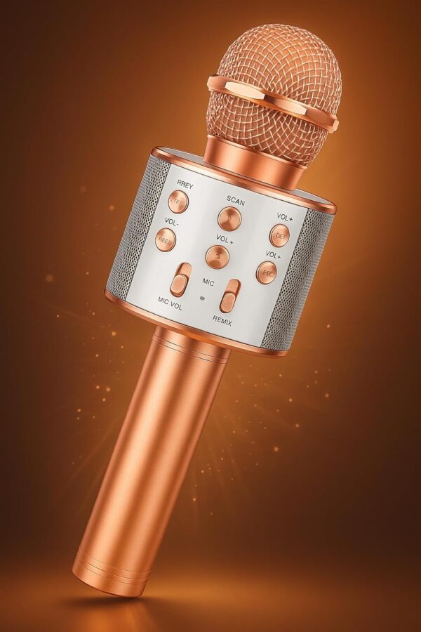 Wster WS-858 Portable Bluetooth Speaker Karaoke Microphone Wster WS-858 পোর্টেবল ব্লুটুথ কারাওকে মাইক্রোফোন