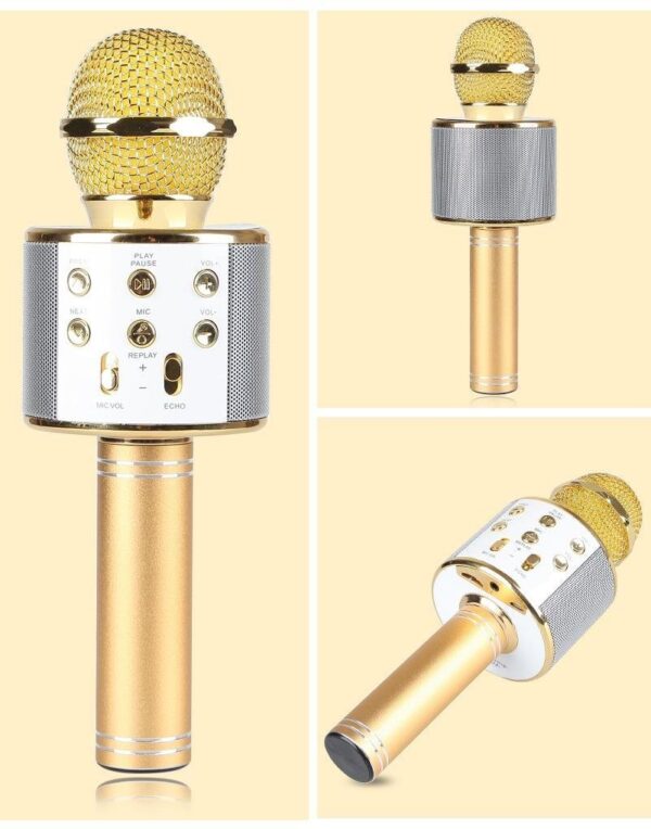 Wster WS-858 Portable Bluetooth Speaker Karaoke Microphone Wster WS-858 পোর্টেবল ব্লুটুথ কারাওকে মাইক্রোফোন