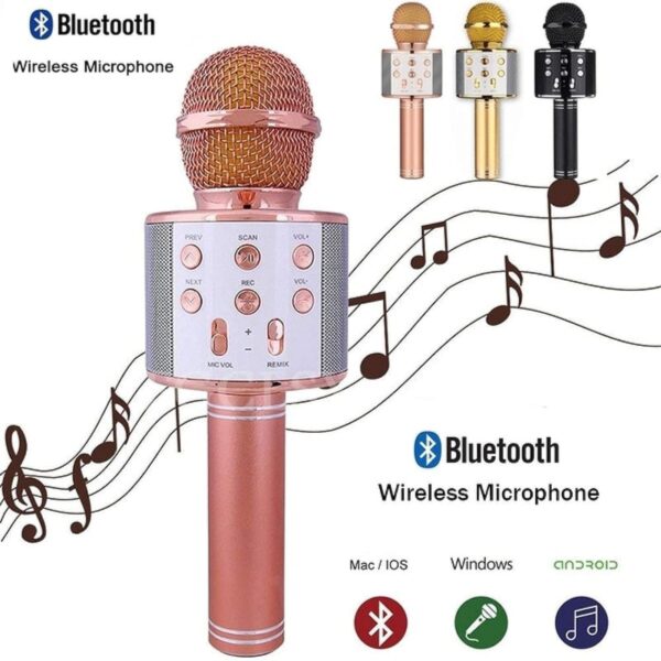Wster WS-858 Portable Bluetooth Speaker Karaoke Microphone Wster WS-858 পোর্টেবল ব্লুটুথ কারাওকে মাইক্রোফোন